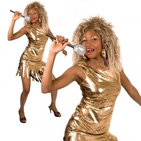 Tina Turner Kostumu