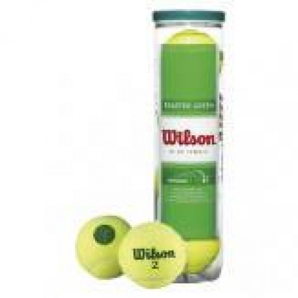 Wilson Starter Play Green Tenis Topu 4 Lü Vakum Ambalaj